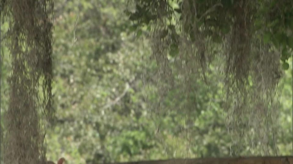 Katie Morgan[Pornolab net] Camp Cuddly Pines Power Tool Massacre Scene 4  KM, Kris Slater