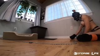 clip adulto gratis 42 BondageLife - Modo cachorro Comprometido! - Rachel Greyhound, femdom esclavo masculino en fetiche porno