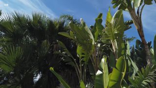 online adult video 27  2020.12.24 Ginebra Bellucci Miracles Happen Everyday, teen on teen