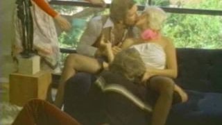 Swedish Erotica 235: Happy Reunion (1979)(Vintage)