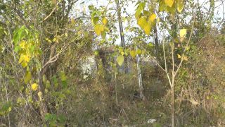 Mariah Leonne - EXTREME Risky Public Roadside Facial - Public