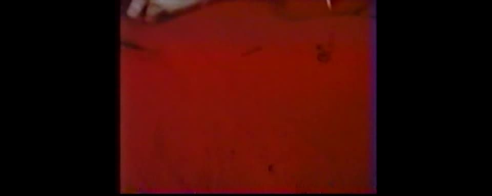 Playthings (1979)(Vintage)