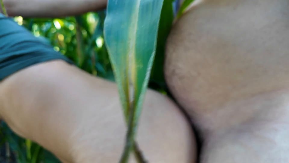 Porn Hub - Fill Me Up Like I m a Pig In a Corn Field - Good Girl And Dad - 2025 - Anal