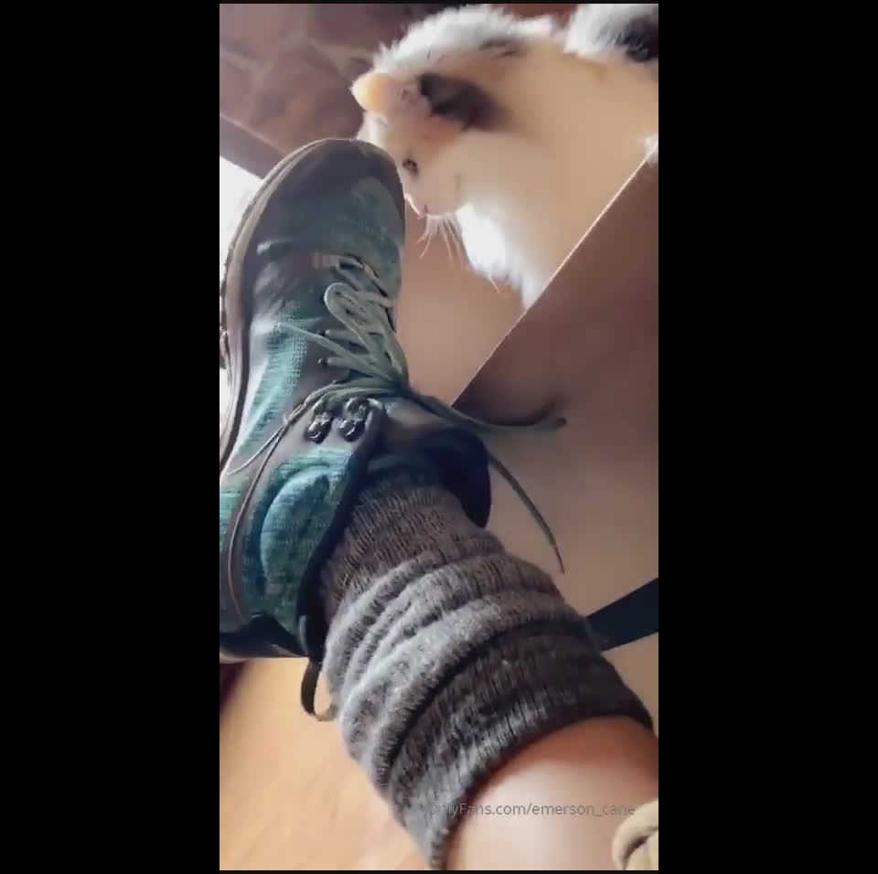 Emerson cane () Emersoncane - a general snap time sometimes more rowdy sometimes less i hope everyone is stayi 17-03-2020