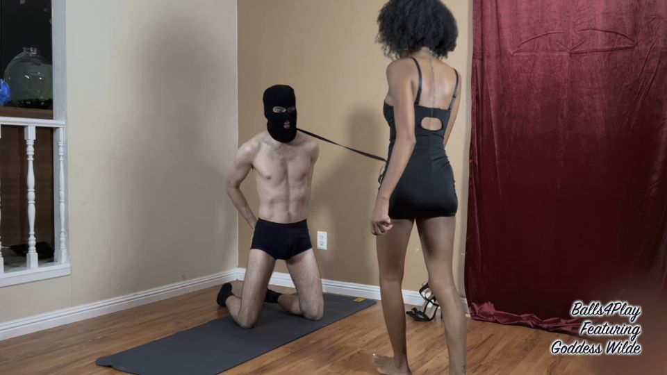 Balls4play - Goddess Wilde - Dont Fucking Be A Bitch - Humiliation