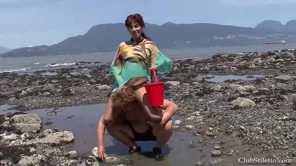 Beach Horse for Melody  1