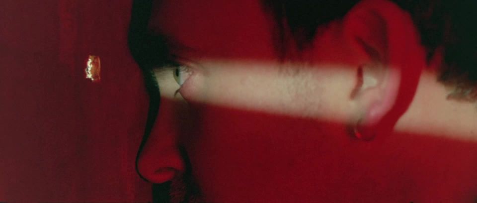 My Nights With Susan, Sandra, Olga And Julie (1975) - (Vintage)