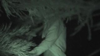 porn video 42  public | Public Sex Night Watching 136 | full movies voyeur