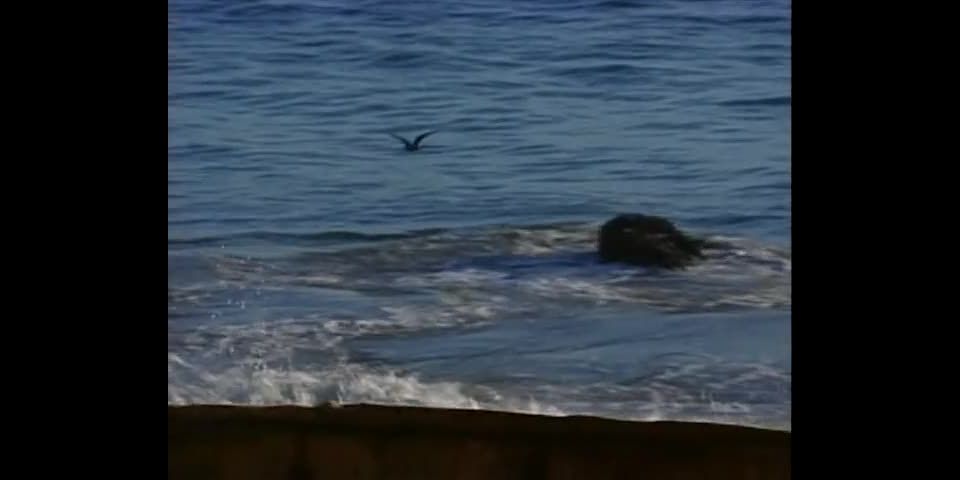 [Pornstar] StacyValentine-Collection LA Lust