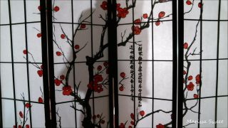 online video 20 Marissa Sweet – Silhouette Tease- JOI CBT, homemade femdom on femdom porn 