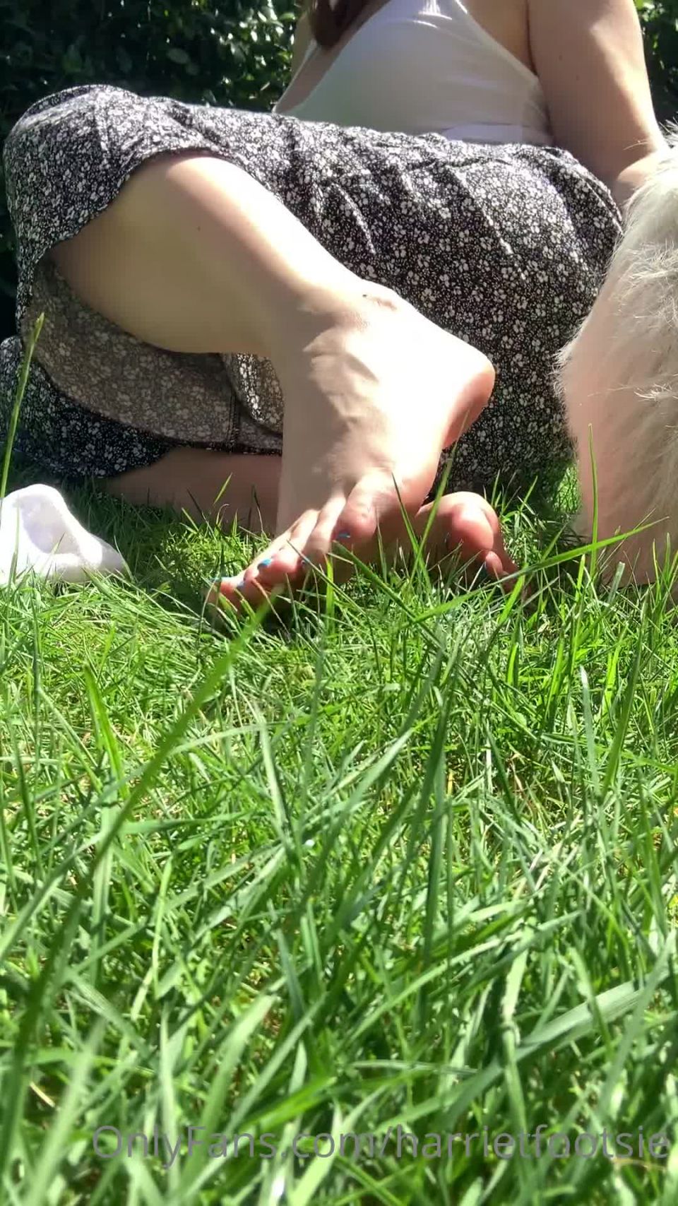 Onlyfans - Harriet King - harrietfootsie - harrietfootsieQuiero que me des el doble de atención que yo doy a mis perros - 17-07-2021