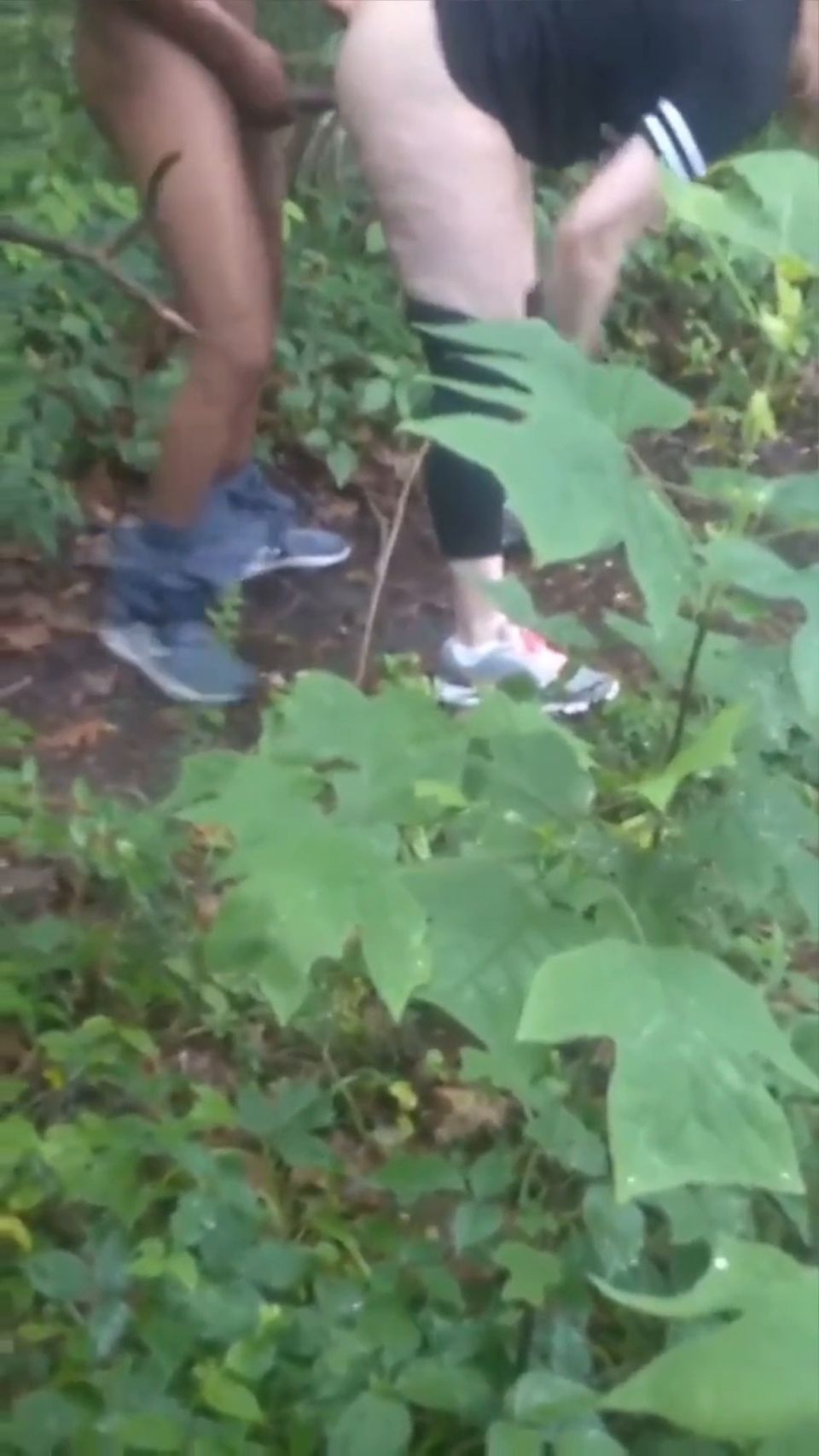 In The Woods Onlyfans (Amateur porn)