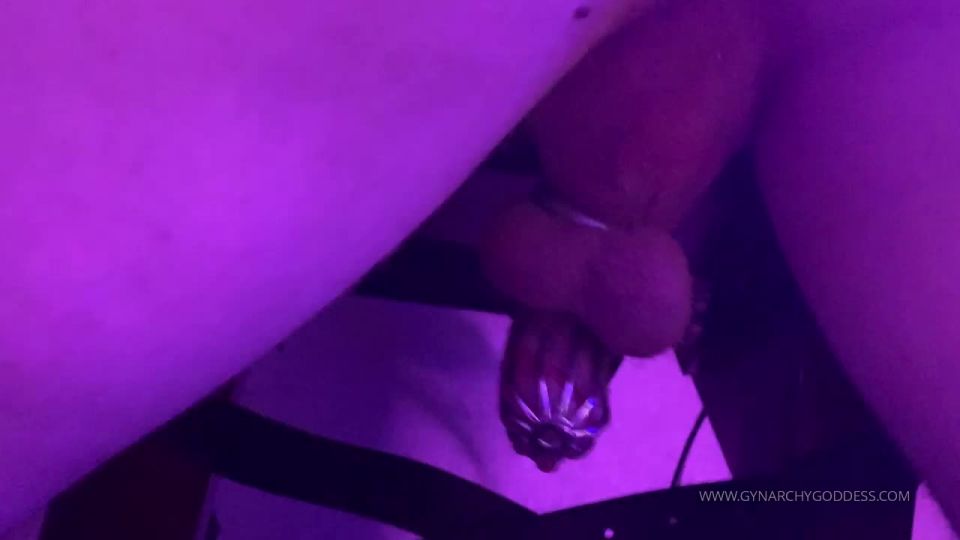 online clip 43 Gynarquía Diosa — Castidad burla en el día  femdom porno  femdom porno cuero femdom