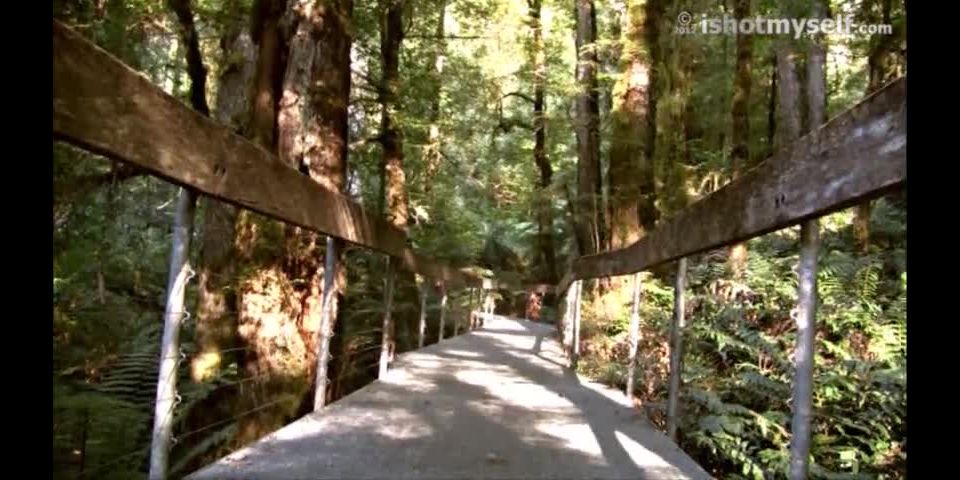 {find Me 2 (mpg, 480p, 93.3 Mb)|find Me 2 (93.3 Mb, N/a, 854x48