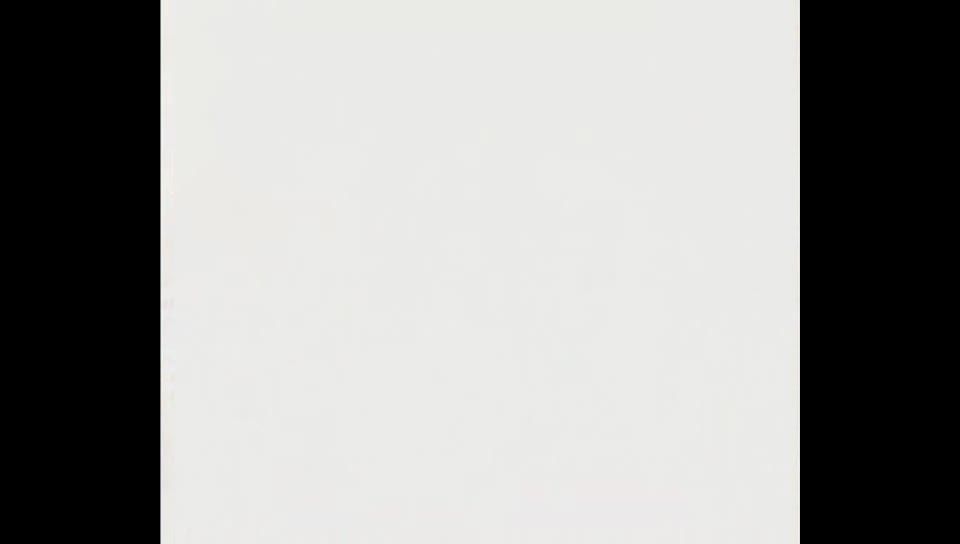 Typhoon international Harumi Nemoto