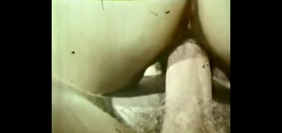 Love Film 504 – Muschi-Time - (Vintage)