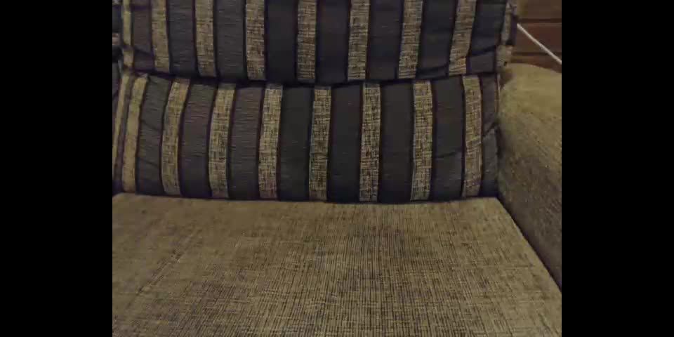 Shemale Webcams Video for January 20, 2020 – 11 Webcam!