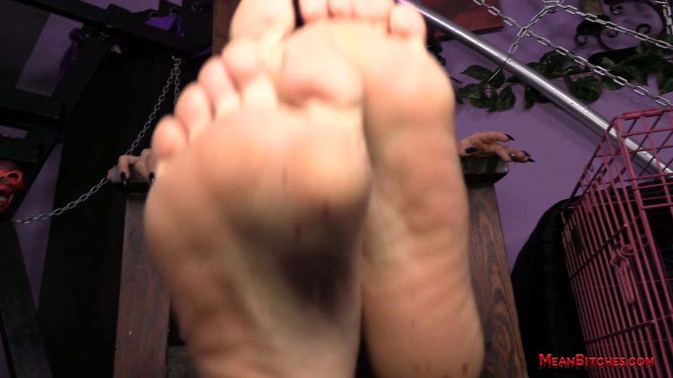 free porn video 1 MeanBitches – Stella Cloud – In Your Face! | ass worship | feet porn stocking foot fetish