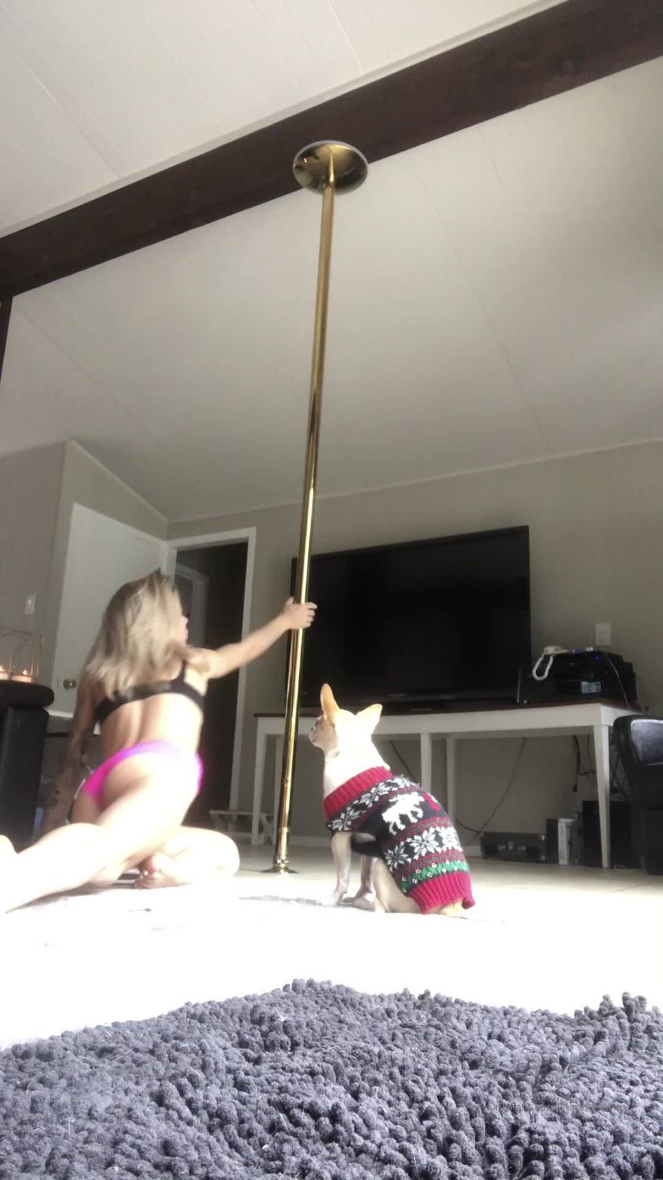 summeravery -13824699- | summeravery | milf porn 