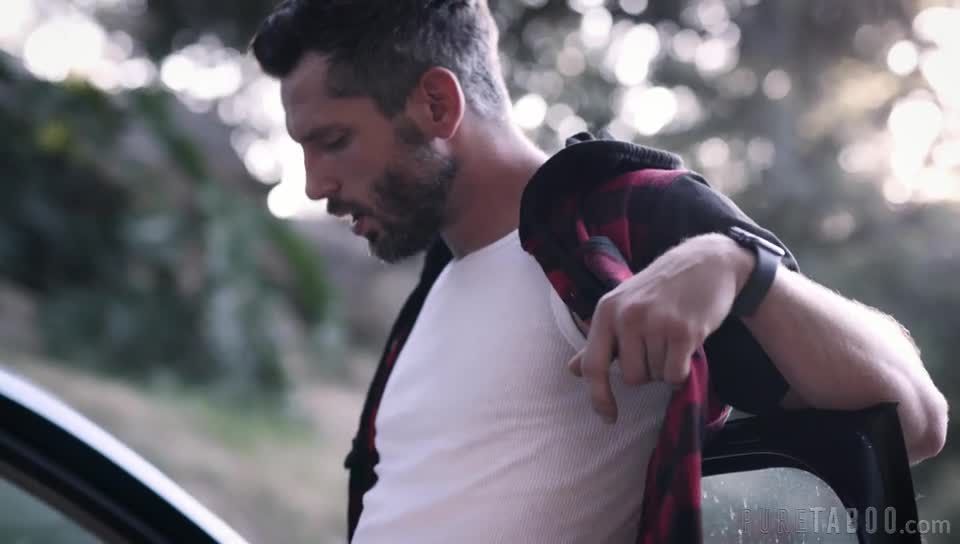 Kristen Scott  FIGHT OR FLIGHT