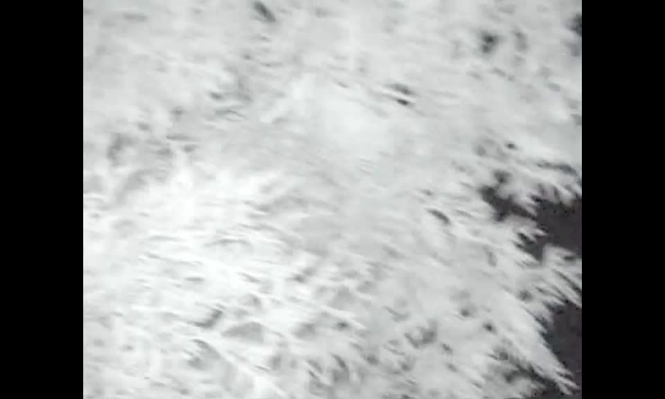 gratis porno clip 35 Voyeur043 - k2s.tv en femdom porno femdom sexo esclavo