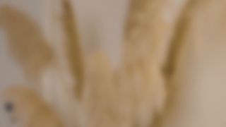 Meiden Van Holland 25 01 04 Monika De Geile Dominante Baas