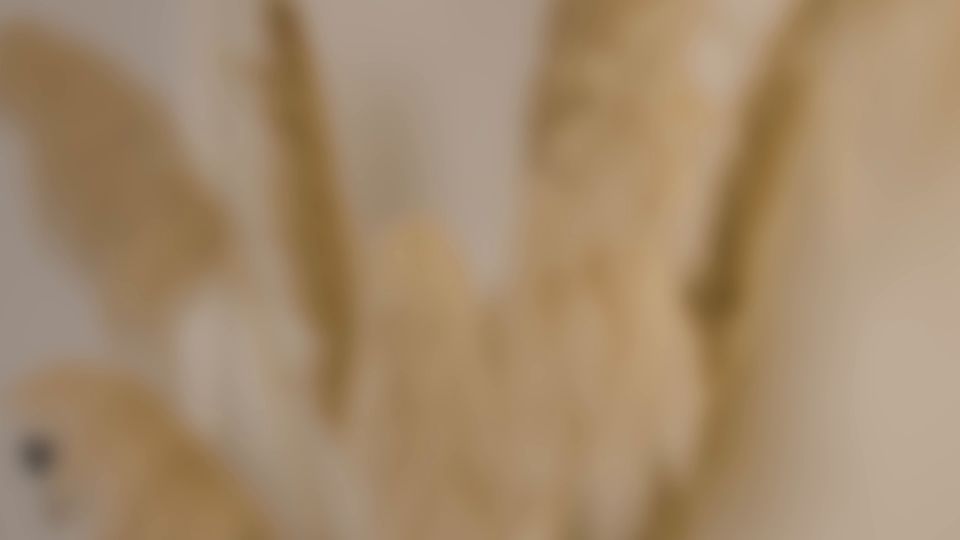 Meiden Van Holland 25 01 04 Monika De Geile Dominante Baas