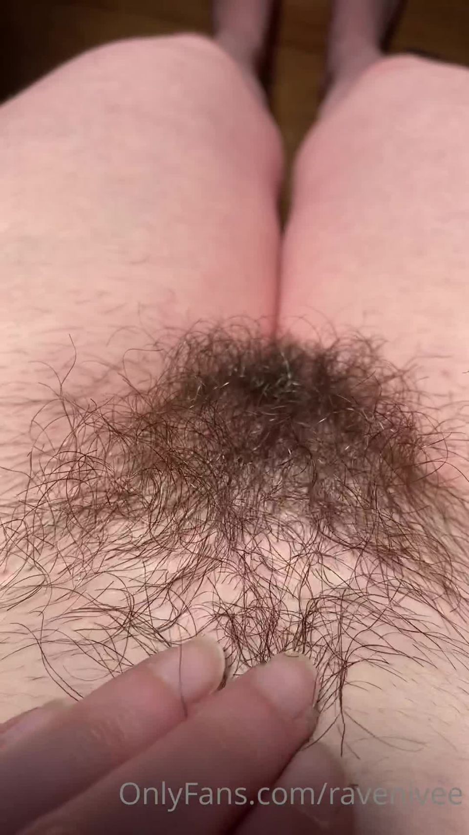 Ravenivee () - bushy 01-05-2022